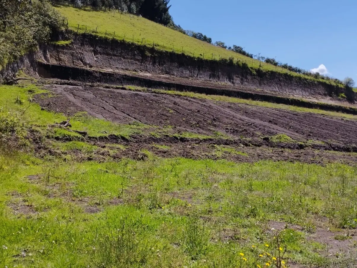 Ladera con tierra recién removida y césped verde durante la adecuación de un terreno