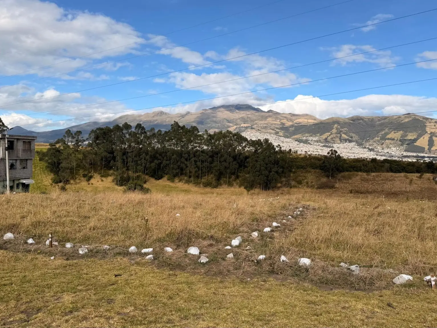 Terreno del proyecto La Cocha con los lotes marcados con piedras blancas, bosque de eucaliptos y vista a Quito y las montañas al fondo
